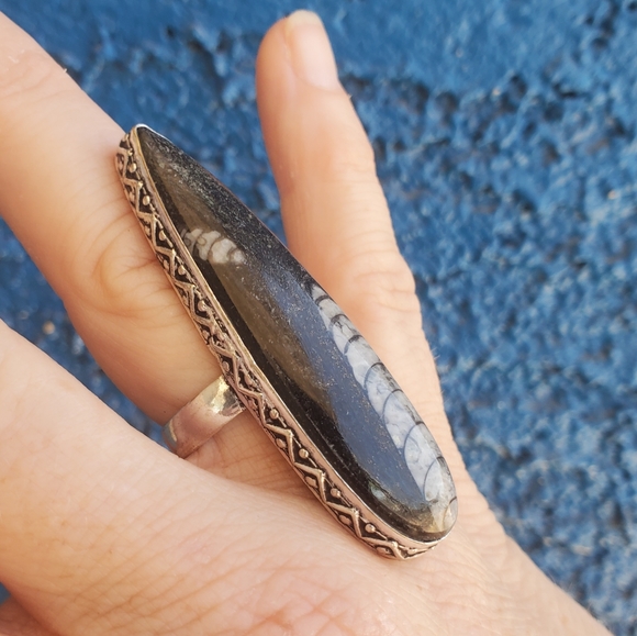 New Oversized Orthoceras Fossil 925 Silver Statement Ring. - Picture 2 of 16